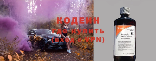 эйфоретик Арсеньев