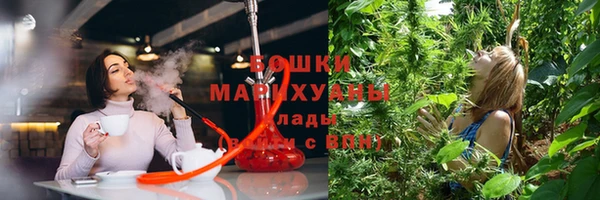 бошки Армянск