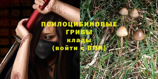 хмурый Приозерск