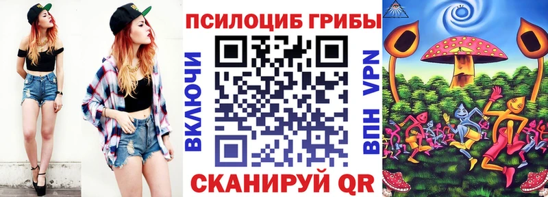 Псилоцибиновые грибы MAGIC MUSHROOMS  купить наркоту  Устюжна 